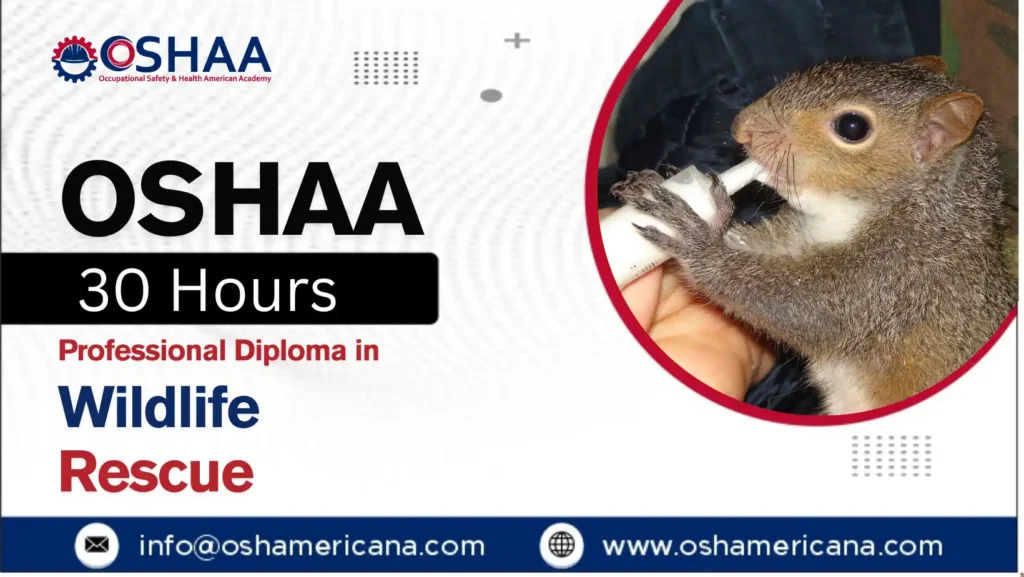 OSHAA 30-Hours Professional Diploma in Wildlife Rescue