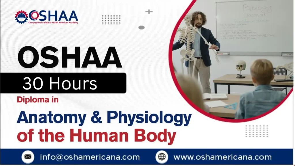 OSHAA 30-Hours Diploma in Anatomy and Physiology of the Human Body