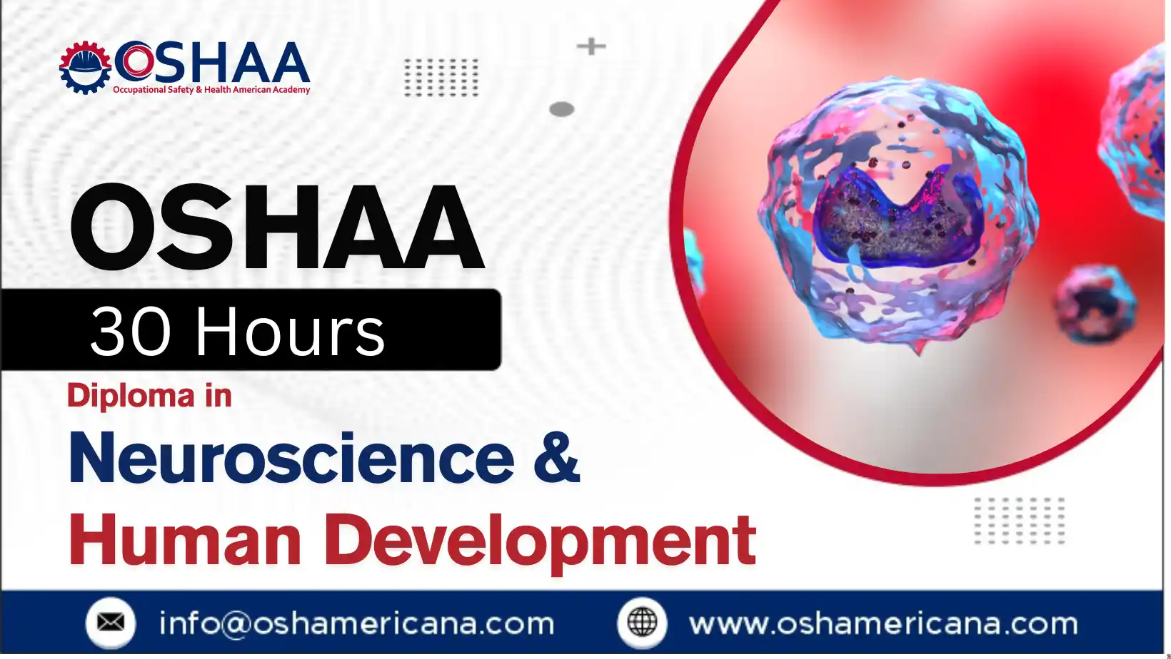OSHAA 30-Hours Professional Diploma in Neuroscience and Human Development