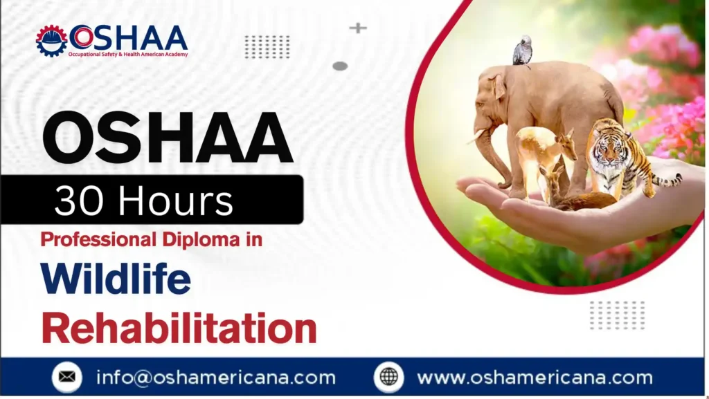 OSHAA 30-Hours Professional Diploma in Wildlife Rehabilitation